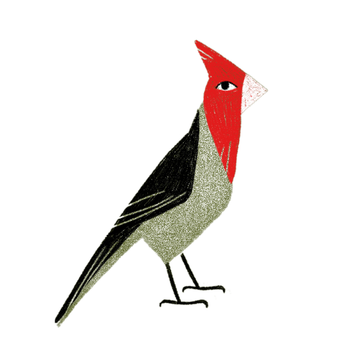 Cardenal